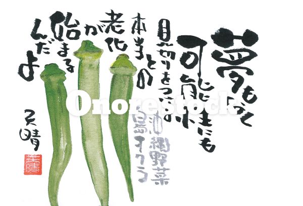 沖縄野菜 島オクラ　夢もなく可能性にも見切りをつけると本当の老化が始まるんだよ　天晴