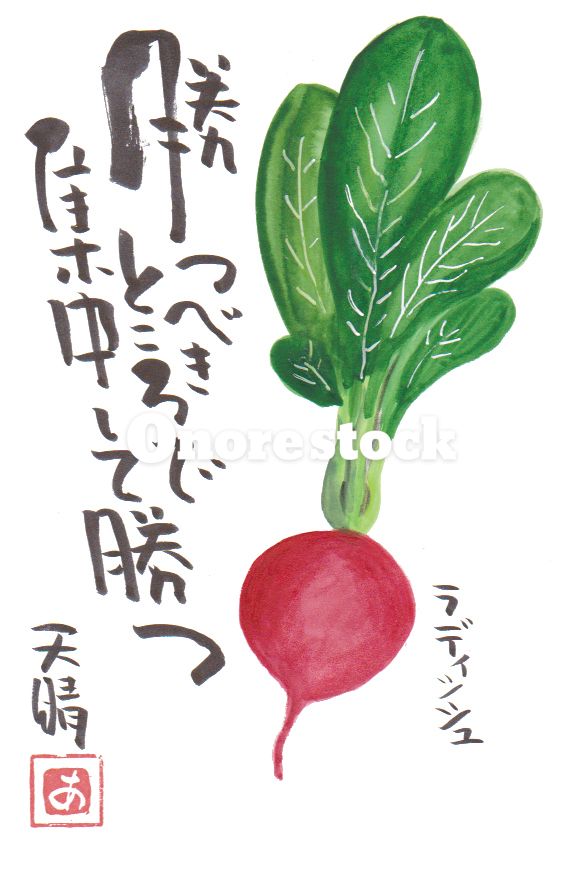 ラディッシュ　勝つべきところで集中して勝つ　天晴