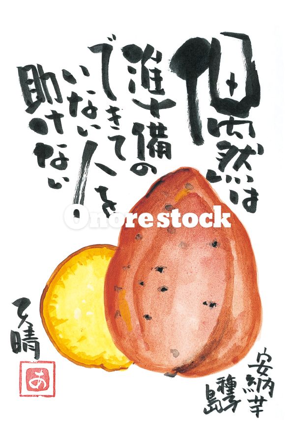種子島 安納芋　偶然は準備のできていない人を助けない　天晴