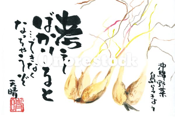 沖縄野菜 島らっきょう　考えてばかりいると・・・できなくなっちゃうぞ　天晴