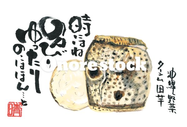 沖縄野菜 ターンム 田芋　時にはのんびりゆったりのほほん・・・と　天晴