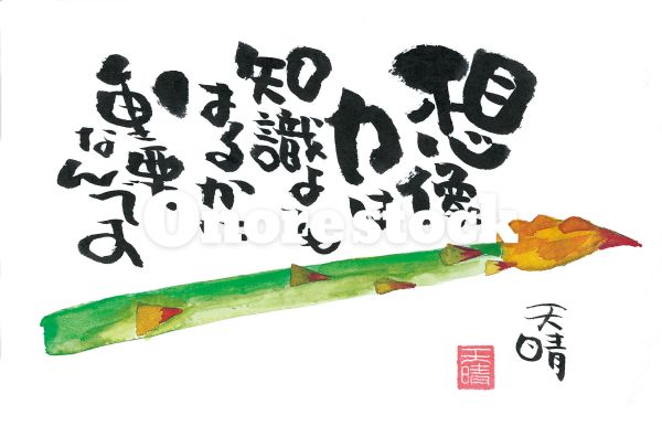 アスパラガス　想像力は知識よりもはるかに重要なんです　天晴