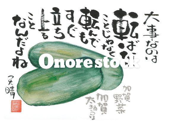 加賀野菜 加賀太きゅうり　大事なのは転ばないことじゃなく転んでもすぐ立ち上ることなんだよね　天晴