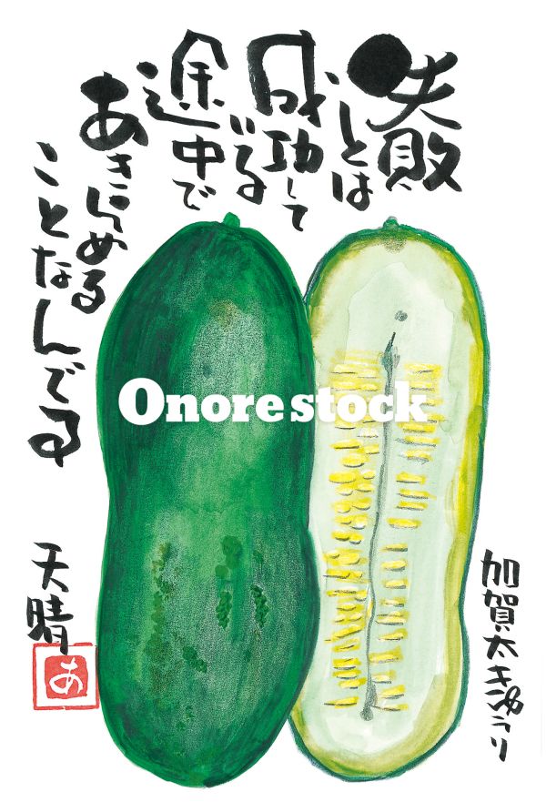 加賀太きゅうり　失敗とは成功している途中であきらめることなんです　天晴