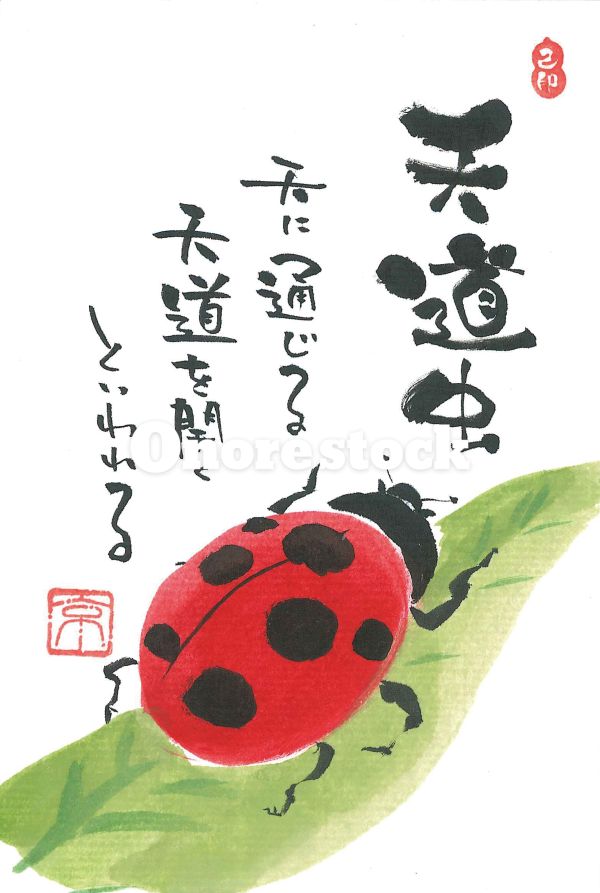 天道虫