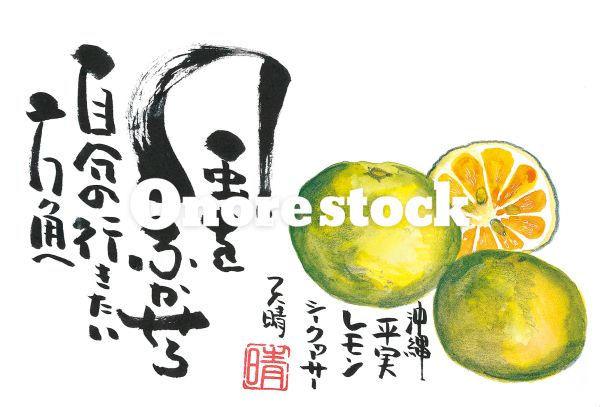 沖縄 平実 レモン シークヮーサー　風をふかせろ自分の行きたい方角へ　天晴