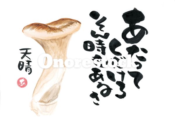 エリンギ　あたってくだけるそん時もあるさ　天晴