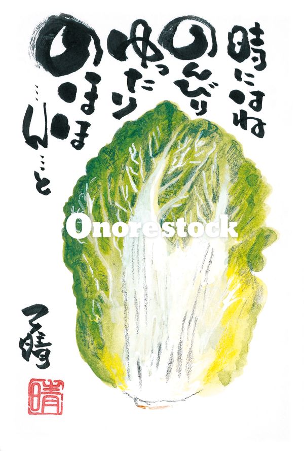 白菜　時にはねのんびりゆったりのほほ・・・ん・・・と　天晴