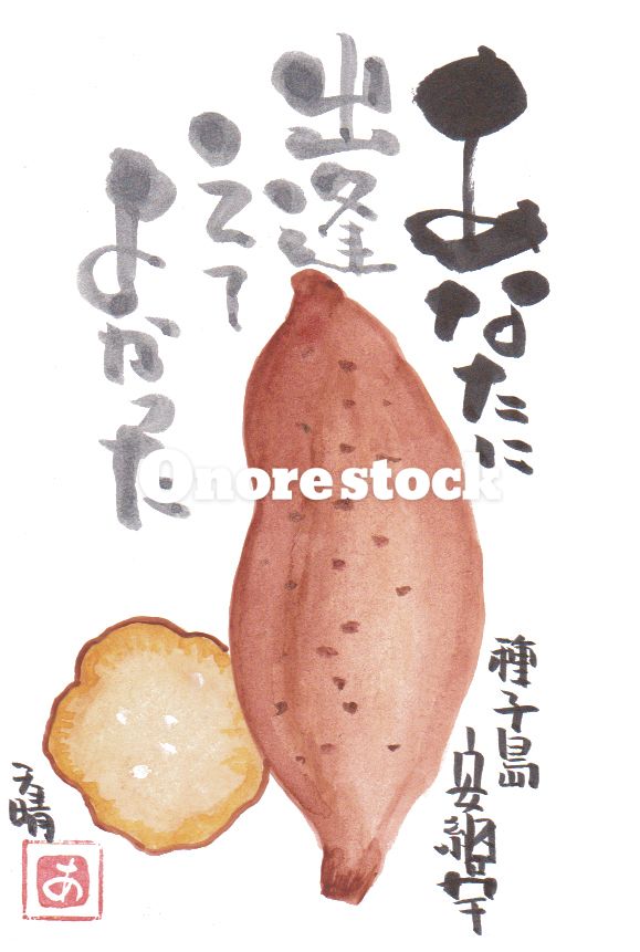 種子島 安納芋　あなたに出逢えてよかった　天晴