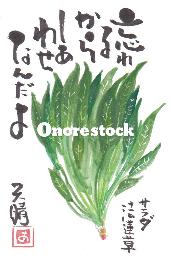 サラダ法蓮草　忘れるからしあわせなんだよ　天晴