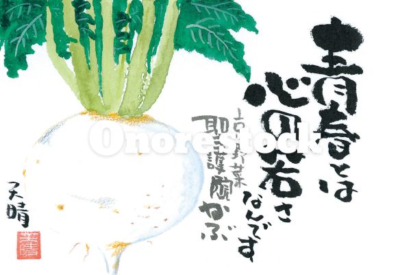 京野菜 聖護院かぶ　青春とは心の若さなんです　天晴