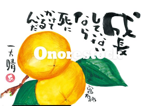 富有柿　成長していないなら死にかけているんだ　天晴