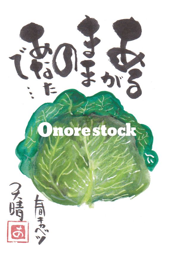 春キャベツ　あるがままのあなたで・・・　天晴