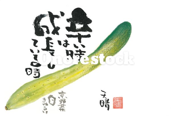 京野菜 白きゅうり　辛い時は成長している時　天晴