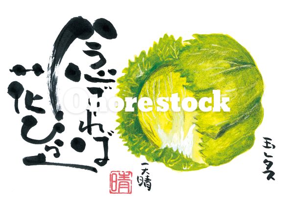 玉レタス　念ずれば花ひらく　天晴