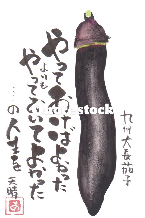 九州大長茄子　やっておけばよかったよりもやっておいてよかった・・・・の人生を　天晴