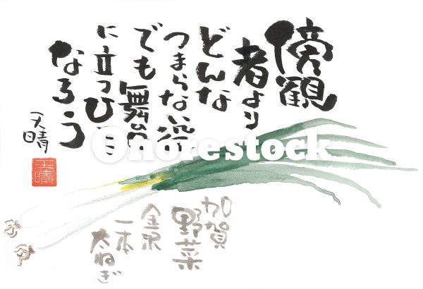 加賀野菜 金沢一本太ねぎ　傍観者よりどんなつまらない役でも舞台に立つひとになろう　天晴